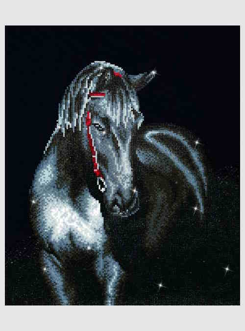 DD10012-diamond-dotz-midnight-stallion