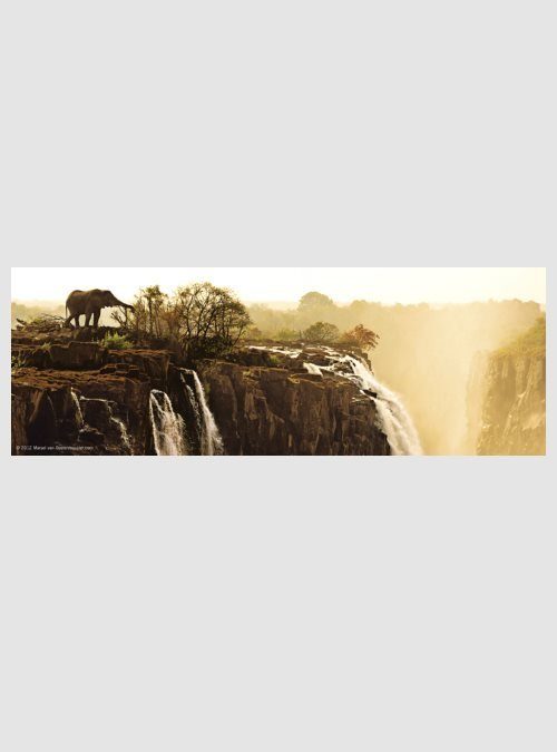 29529-humboldt-elephant-panorama-75pcs