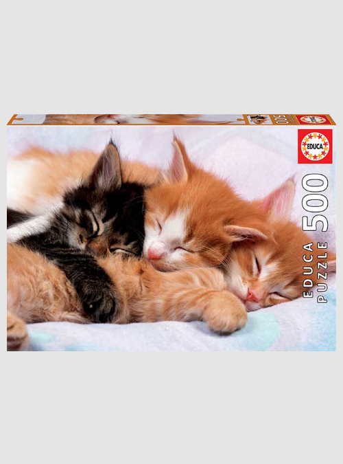 17087-kittens-500pcs