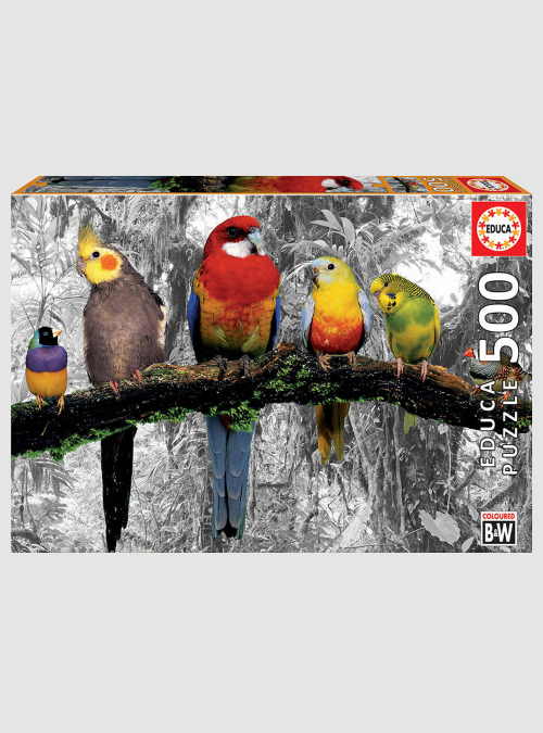 17984-birds-on-the-jungle-500pcs