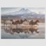 58376-horses-in-cappadocia-1000pcs