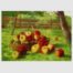 60768-Karl-Vikas-Apple-Harvest-500pcs