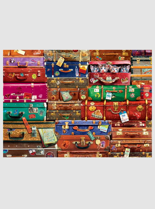 6000-5468-Travel-Suitcases-1000pcs