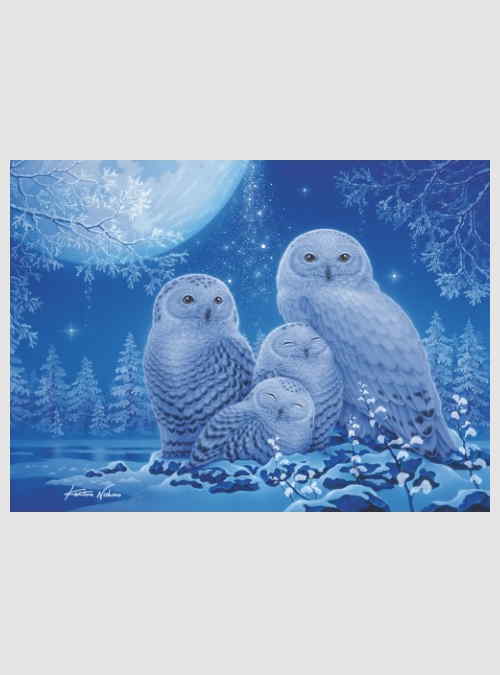 16595-owls-in-moonlight-500pcs